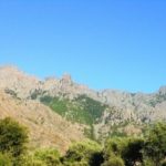 559-DSCF5266