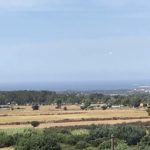 IMG_E3061