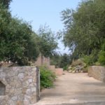 3-